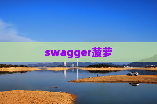 swagger菠萝 swagger菠萝